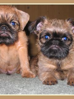 Other Wallpapers 0840